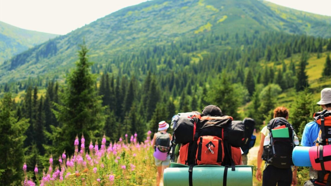 Повышение экологического туризма