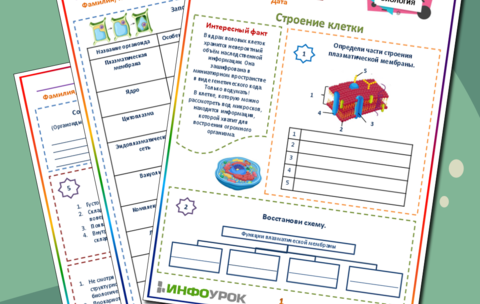 Возможность развития экологического туризма в нашем городе