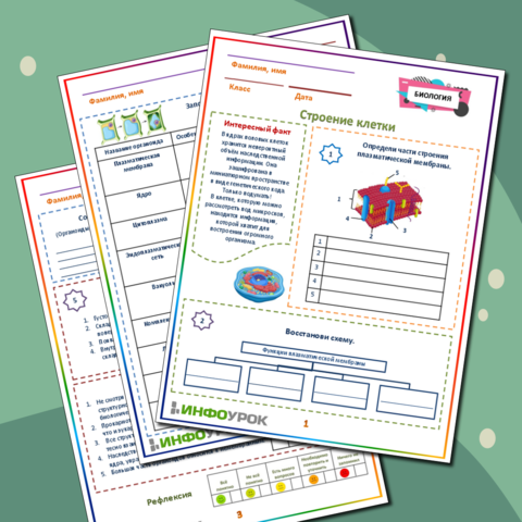 Возможность развития экологического туризма в нашем городе