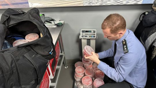 Как транспортировать икру в самолёте