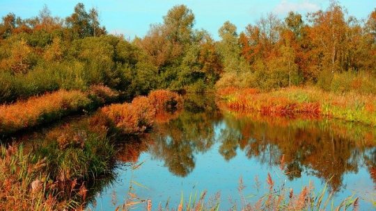 Экологический туризм в заповедниках