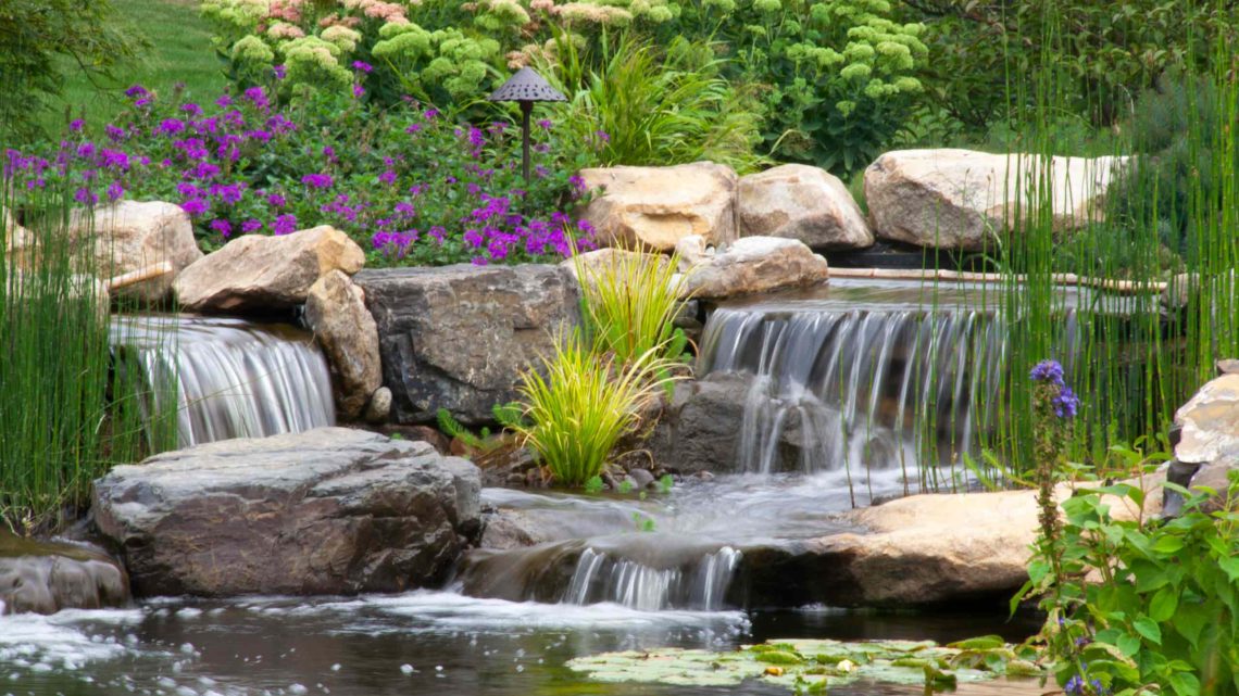 Растения для водопада и каменистого сада: создаем живописный уголок