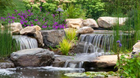 Растения для водопада и каменистого сада: создаем живописный уголок