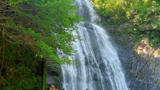 Водопад Ирина в Абхазии: Путешествие к Затерянному Сокровищу