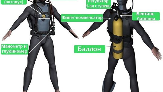 Все, что нужно для дайвинга: полное руководство по снаряжению, обучению и безопасности