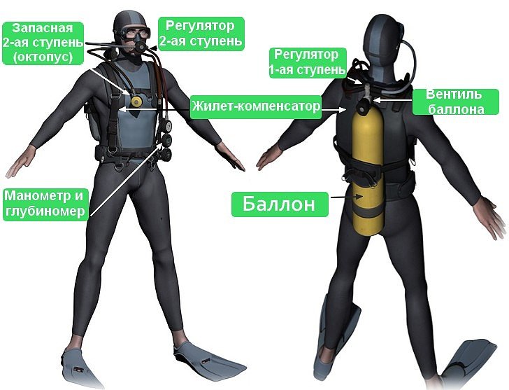 Все, что нужно для дайвинга: полное руководство по снаряжению, обучению и безопасности